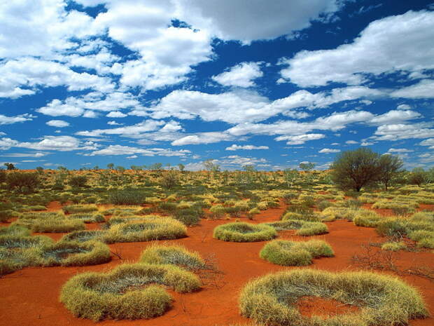 Пейзажи пустынной Австралии австралия, красота, природа, удивительное