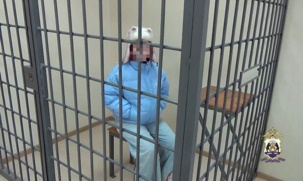 Новгородская полиция задержала посыльную аферистов, забравшую у жителей региона 2,6 млн рублей