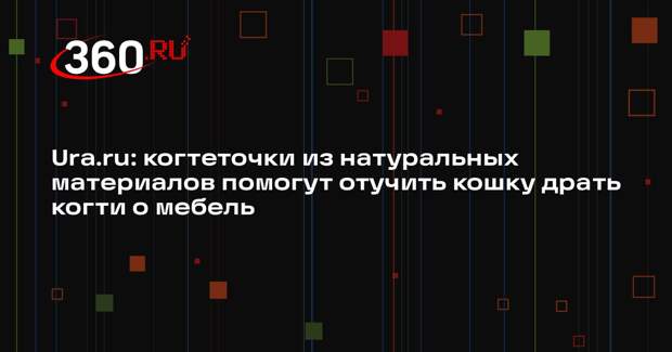 Ura.ru: когтеточки из натуральных материалов помогут отучить кошку драть когти о мебель