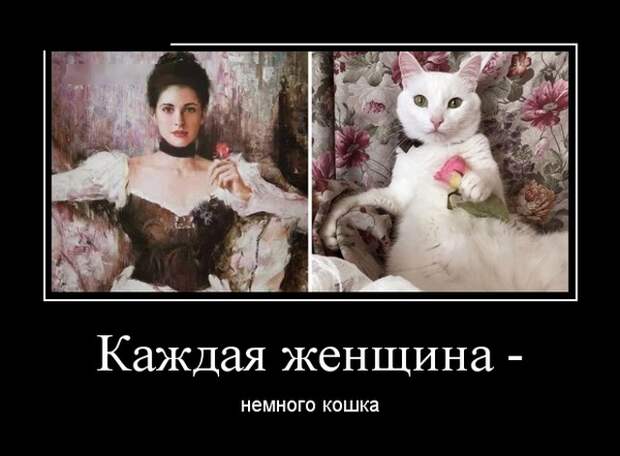 Демотиваторы (30 фото)