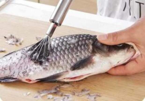 из рыбьей чешуи телевизоры