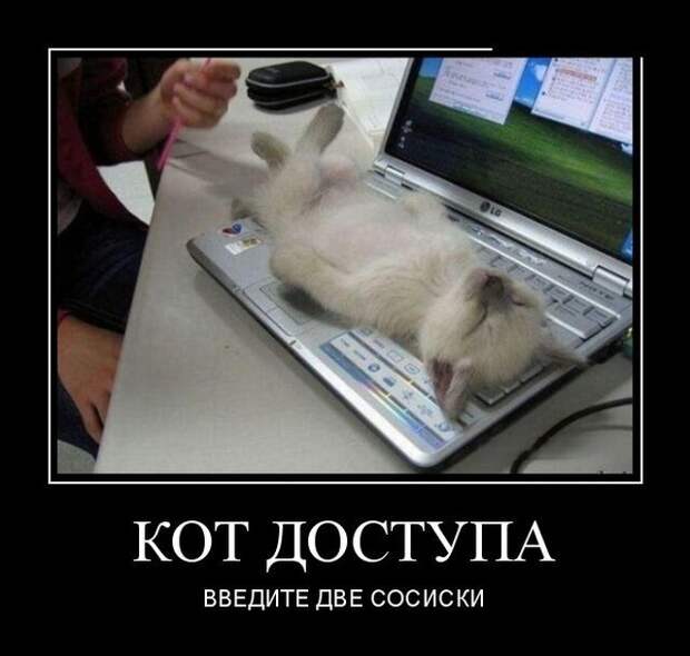 Демотиваторы от Водяной за 15 мая 2019 Каламбур, демотиваторы, животные, коты, юмор