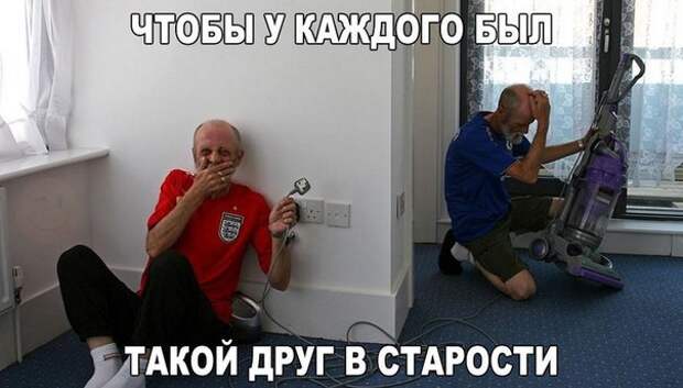 Веселые картинки с надписями про животных (11 фото) Веселые картинки с надписями про животных (11 фото)