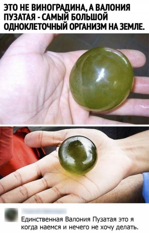 Картинки и мемы для настроения