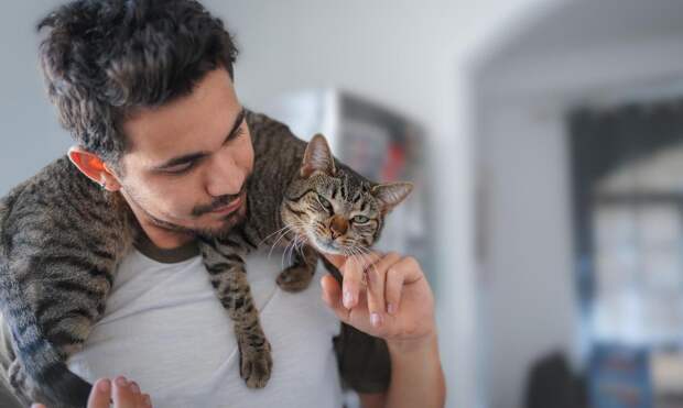 Кошка не дает спать по ночам: два разумных способа ее угомонить от зоопсихолога