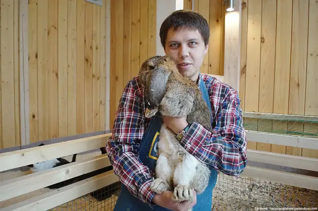 8 ������ 2019 ����/ � 1939 ���� �� �������� ��������� ������ ��������� �������������� ������� � ������� ������� ���������, � �� ������ ��������� ������, ��������� ���� ��� �������������� ������.-76