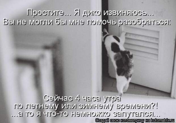 Свежая и прикольная котоматрица (32 фото)