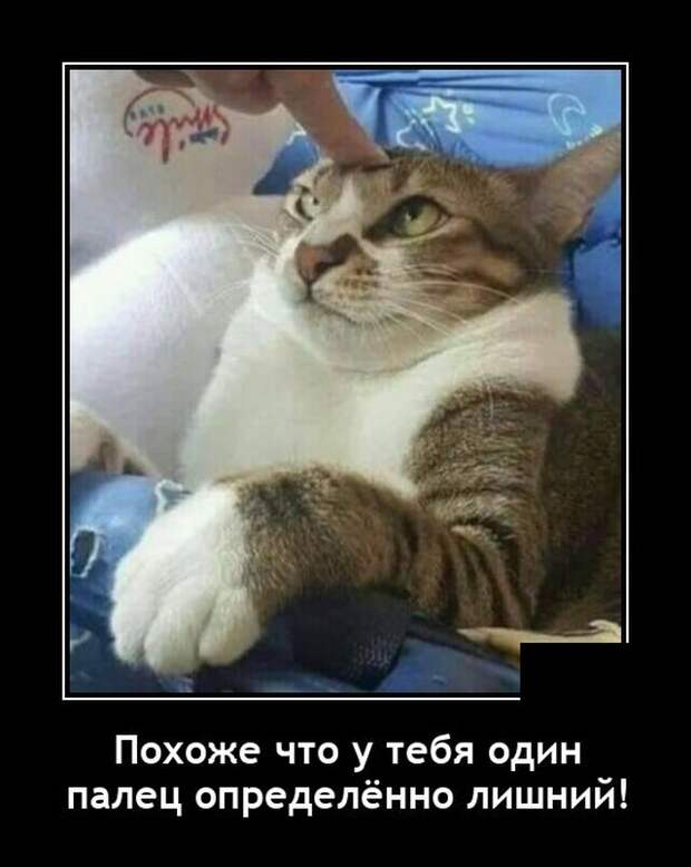 Демотиваторы 9 июня 2021