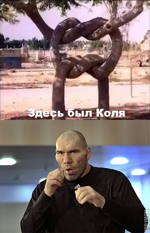 Яндекс-картинка.