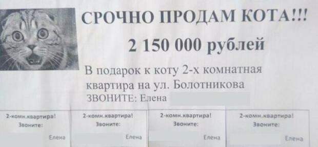 www.vsyako.net