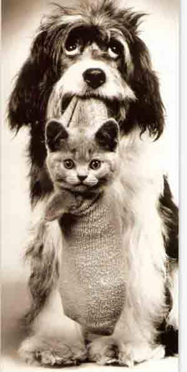 Позитивный микс (47фото)