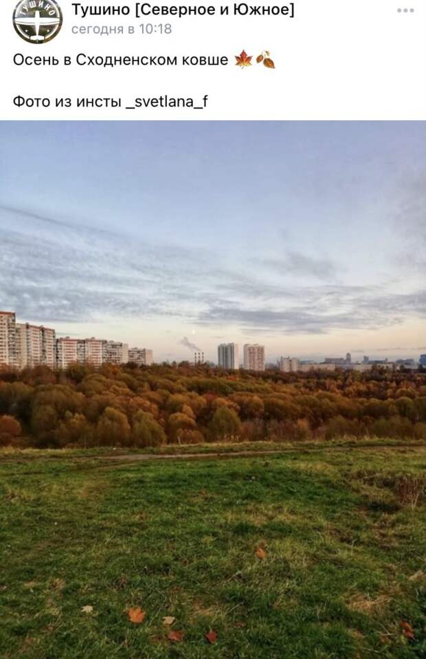 Фото дня: рыжий лес в Сходненском ковше