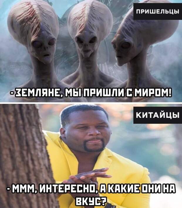 www.vsyako.net
