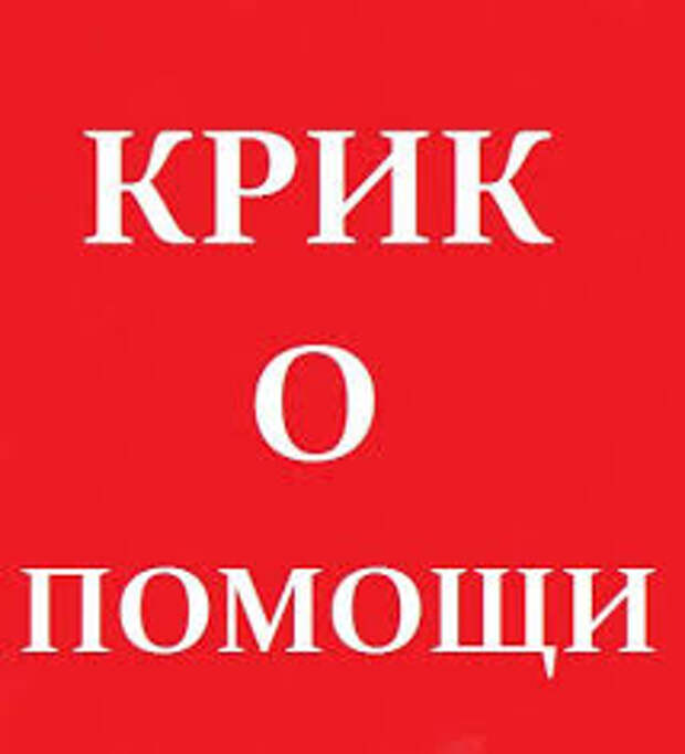 Помогите деткам выжить! Помогите, хотя бы временной передержкой!