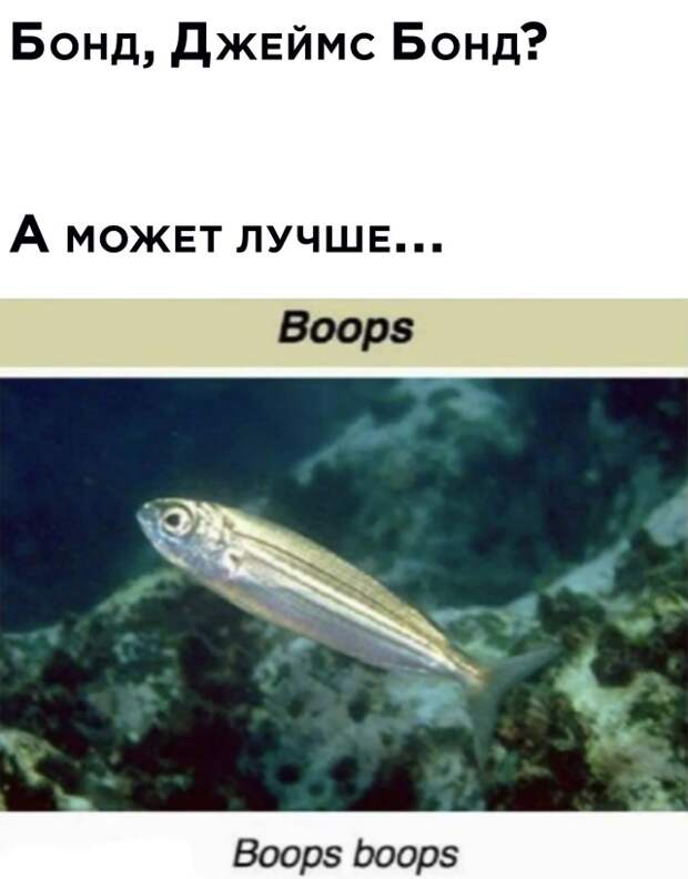 Смешные картинки вечер 9 июня 2021