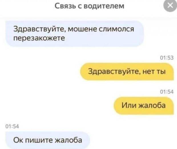 205083_1_trinixy_ru.jpg