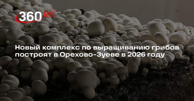 Новый комплекс по выращиванию грибов построят в Орехово-Зуеве в 2026 году