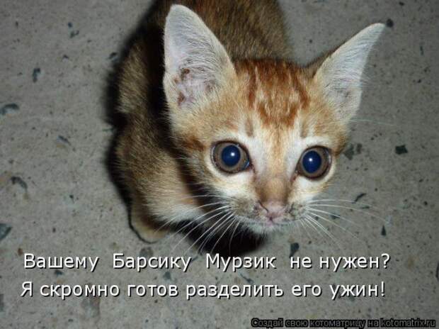 Мысли вслух :)