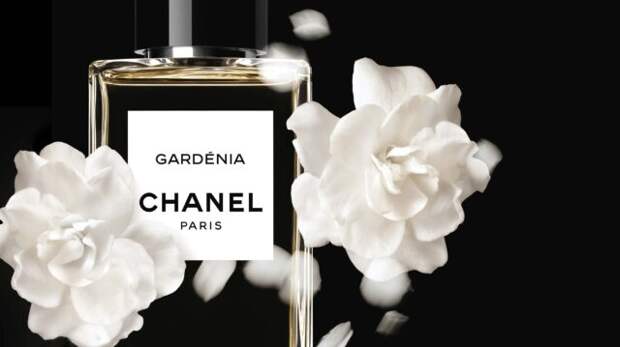 gardenia chanel