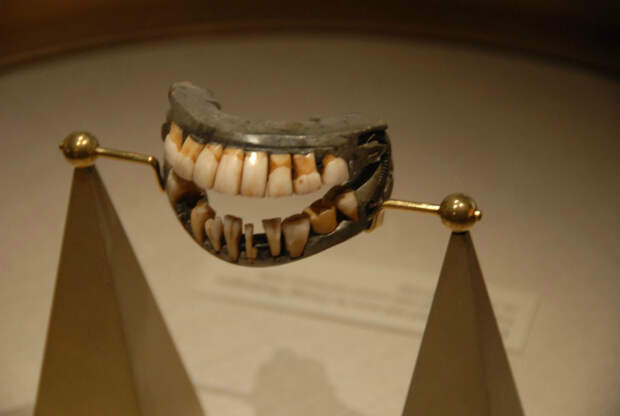 Вставные зубы Джорджа Вашингтона, хранящиеся в Маунт-Вернон.