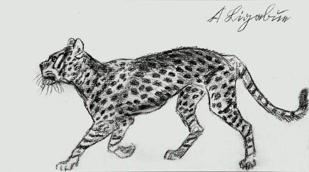 ghepardo-matita-su-tela-applicata-su-cartoncino.jpg