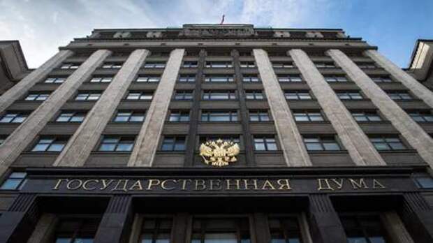 В Госдуме предложат назначить орган по контролю за деятельностью блогеров | Русская весна