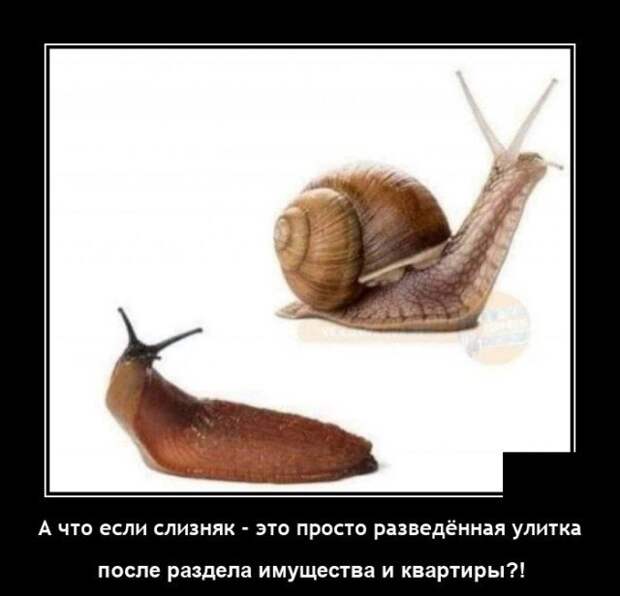 Демотиватор про дом