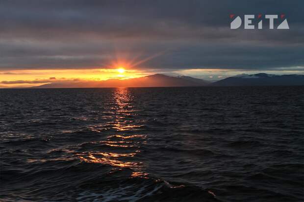 Новейшие российские БЭКи поступили на СВО