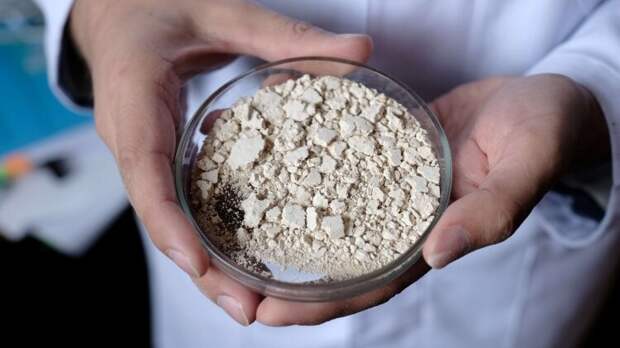 В Красноярске создали полимер из лиственницы с усиленным антиоксидантным эффектом