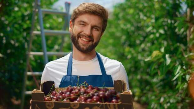 Будьте осторожны: какие растения нельзя сажать рядом с деревьями в вашем вишневом саду