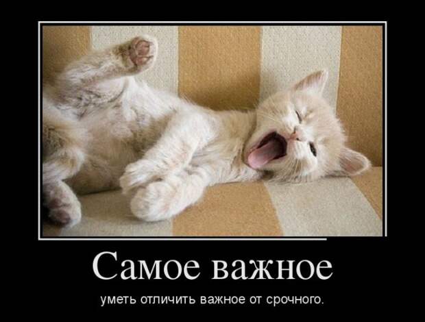 Демотиваторы (20 фото)