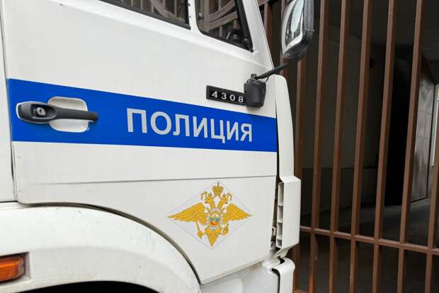 В 2025 году кражи остаются лидерами среди преступлений в России