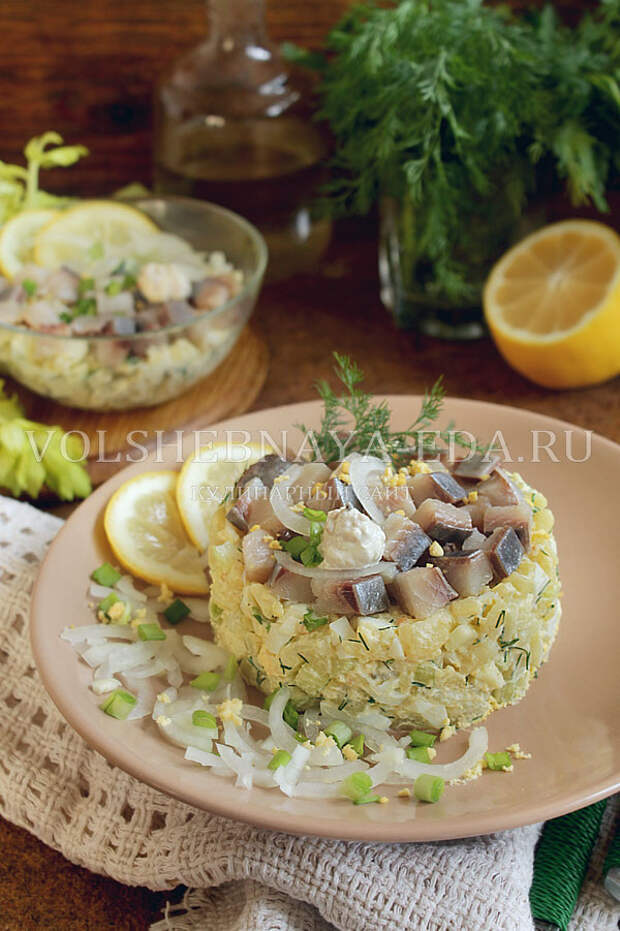 salat norvezhskij s seldyu 12