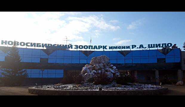 Бесплатный вход пенсионерам объявил Новосибирский зоопарк