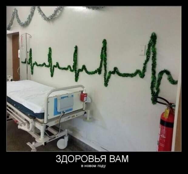 Смешные новогодние фото