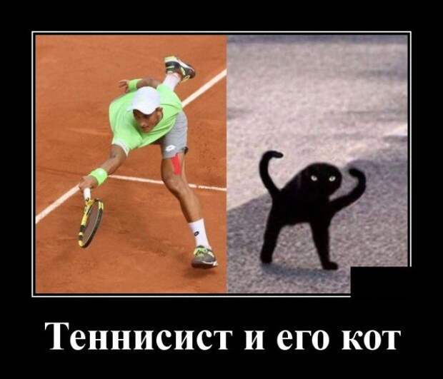 Демотиватор про теннисиста