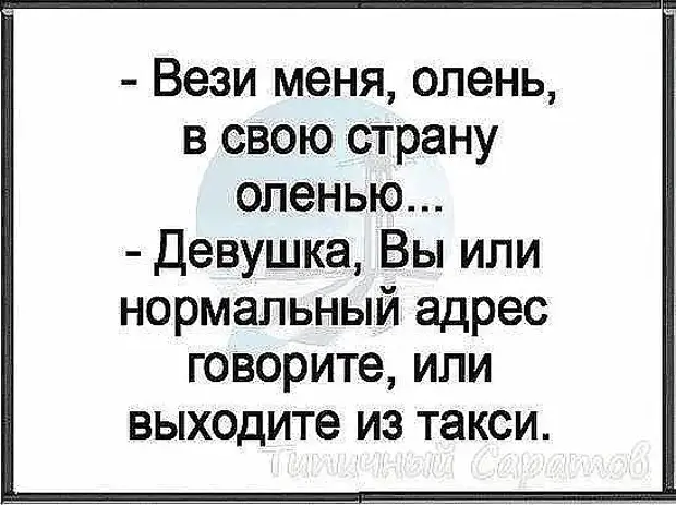 Только что по "Первому каналу" показали, как варить еловые шишки...