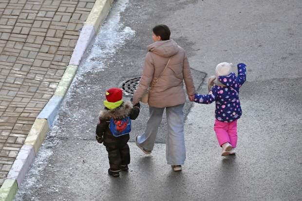 В России захотели ввести зарплату для мам