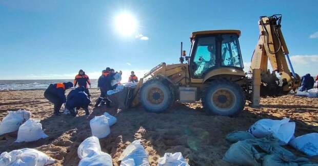 Около 15 тонн мазута вывезли с побережья Черного моря в Крыму