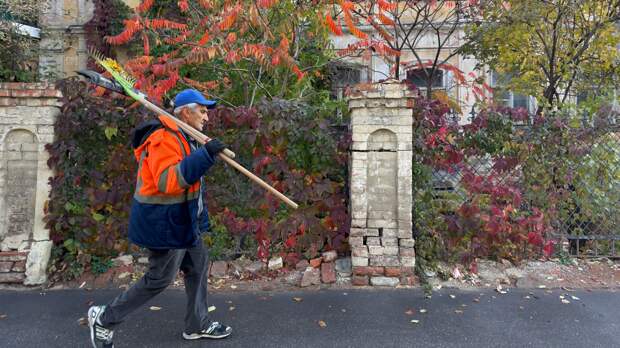 Глава Рособрнадзора попросил родителей не пугать детей работой дворника