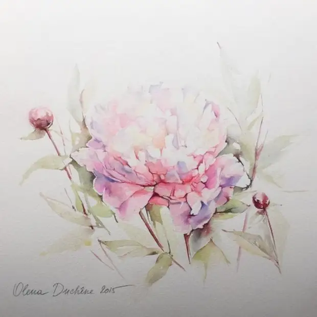 �������� Olena Duchene (����� �����) ������� � 12