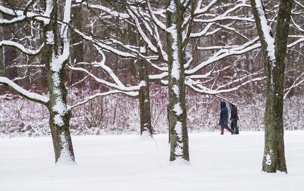 Рекордный мороз в Петербурге переносится