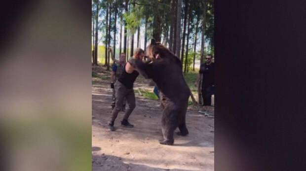 Боксер Махмудов рассказал о своем бое с медведем и заявил: «Это было ужасно!»