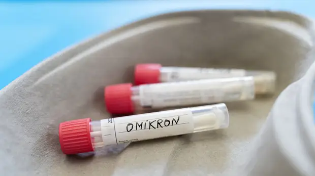 Биолог Баранова рассказала о ситуации с заболеваемостью «омикроном»