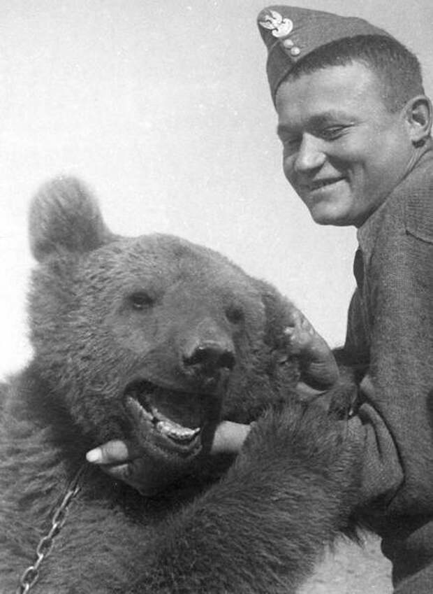 Удивительная история медведя, воевавшего во Второй мировой войне