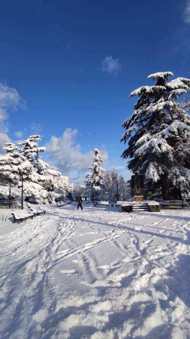 Зимний сквер Севастопольских Курсантов