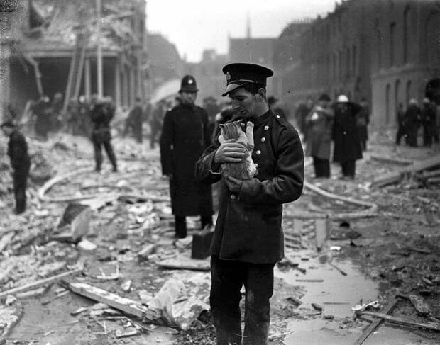 Спасатель с кошкой среди разрушений и обломков, вызванных ФАУ на Джадд-стрит в Лондоне, 13 февраля 1945 года. история, ретро, фото
