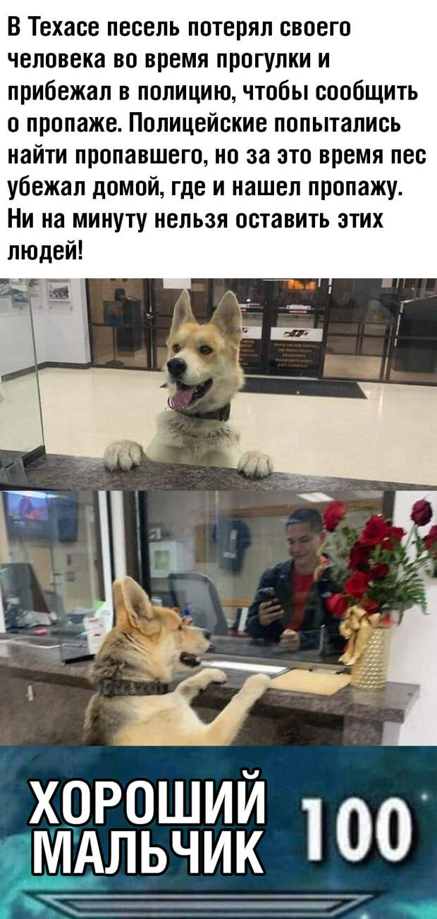 www.vsyako.net