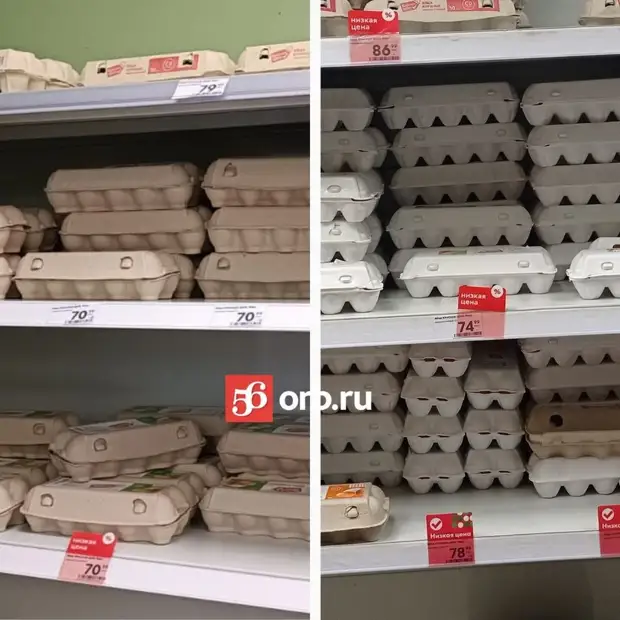 Почему растут цены на продукты в Оренбуржье: мнение аграриев и сельхозпроизводителей