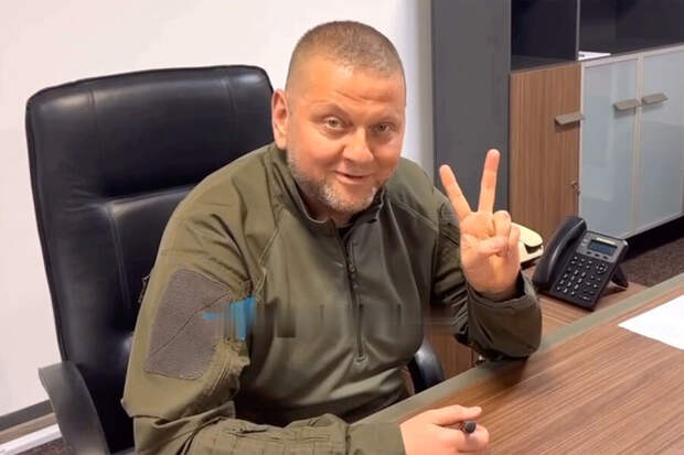 Укро-политолог: Залужный – это «новый Ющенко», который тоже всё профукает